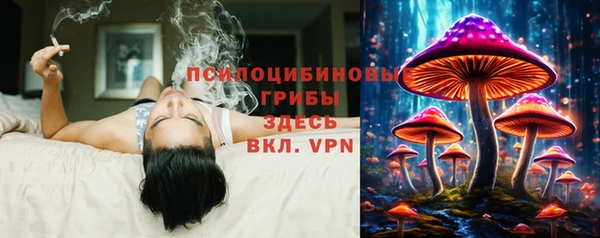 mdpv Алзамай