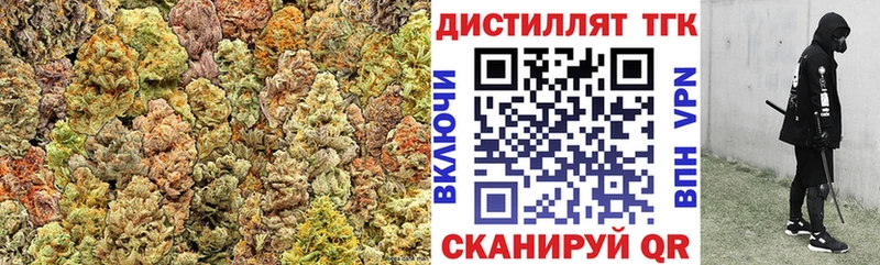 где найти   Приозерск  ТГК Wax 