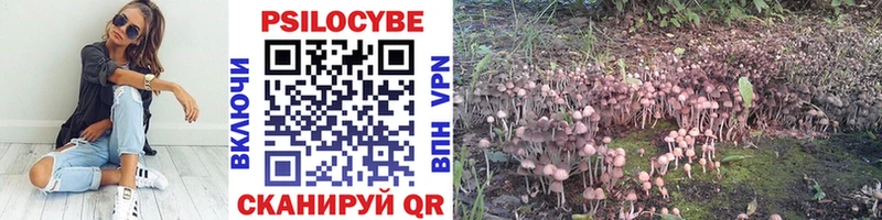 omg ССЫЛКА  Приозерск  Галлюциногенные грибы мицелий 